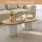 Oval Solid Wood Coffee Table with Storage, Modern Living Room Table