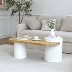 Oval Solid Wood Coffee Table with Storage, Modern Living Room Table
