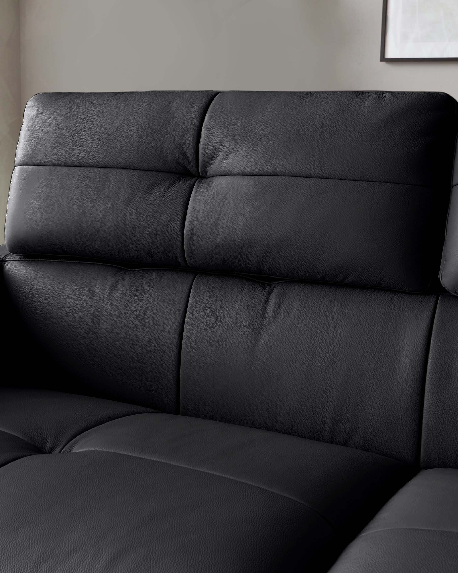 Black Leather Two-seater Sofa For Living Room