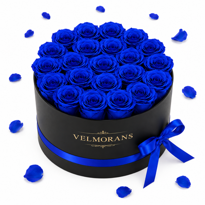 Velmorans Round Preserved Rose Box with 27 Roses, Decorative Floral Gift, 8.94 x 8.94 x 5.51 Inches
